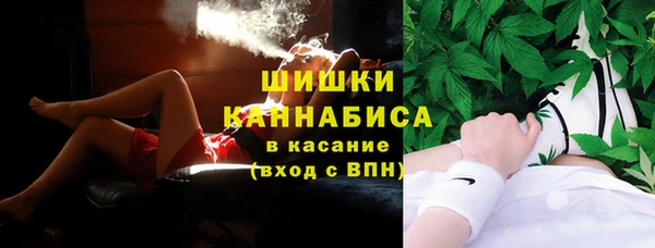 стаф Сосновоборск